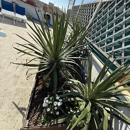L'isola Che Non C'e * Lido di Ostia