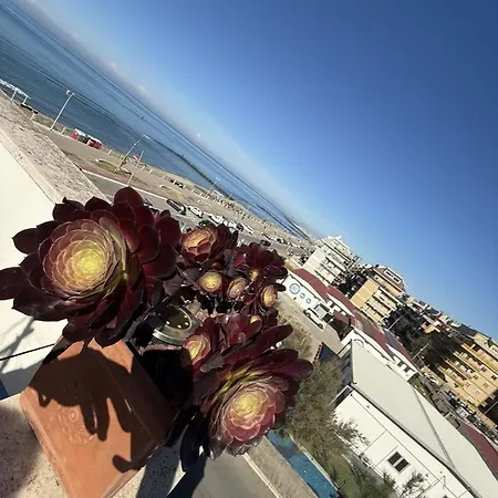 L'isola Che Non C'e